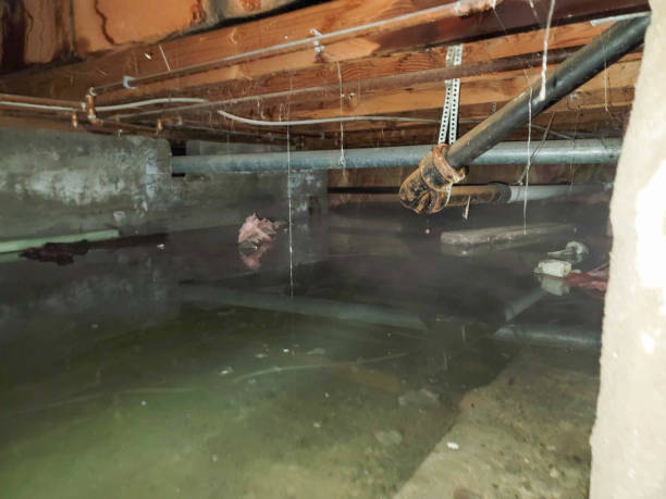 Best Water damage restoration near me  in Point Pleasant Beach, NJ