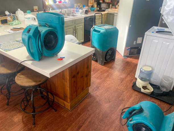 Best Flood damage cleanup  in Point Pleasant Beach, NJ